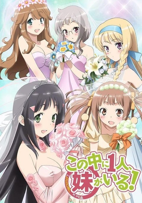 Kono Naka ni Hitori Imouto ga Iru เธอน่ะหรือคือน้องสาวผม ตอนที่ 1-12 ซับไทย