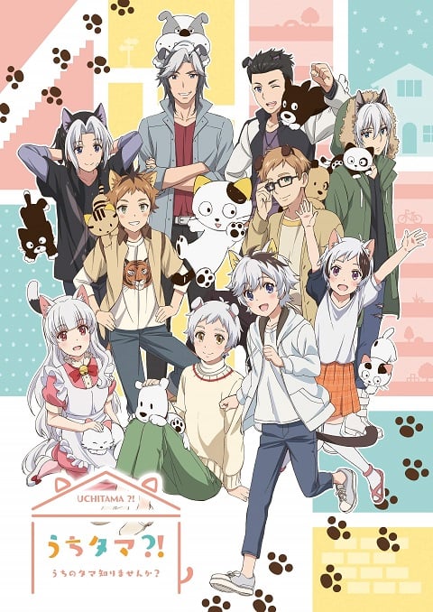 Uchi Tama Uchi no Tama Shirimasen ka ทามะและผองเพื่อน ตอนที่ 1-11 ซับไทย