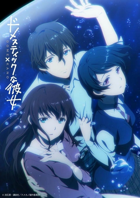 Domestic na Kanojo บทเรียนรักเส้นทางหัวใจ ตอนที่ 1-12 ซับไทย