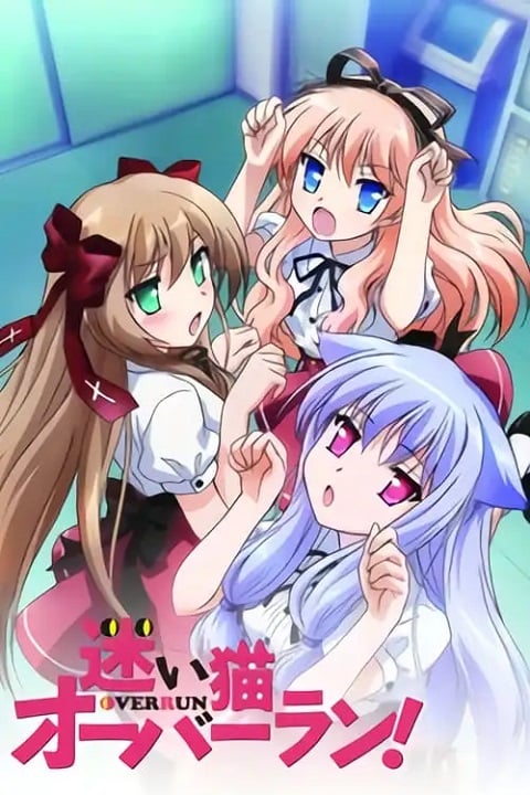 Mayoi Neko Overrun! แมวหลงเกินพิกัด ตอนที่ 1-13+SP ซับไทย